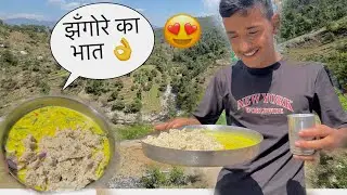 कई सालों के बाद आज बनाया झंगोरा का भात 🍛 !! #pahadi #pahadilifestylevlog 😍