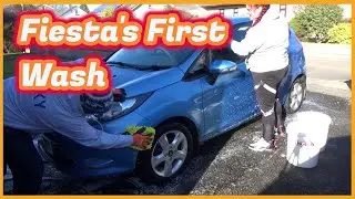 Первая стирка Fiesta за 5 месяцев!