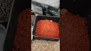 Моя приманка для усача #sonubaits #рыбалка #рыбалка #фидер #зима