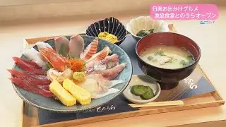 Ｔｒｅｎｄ＃Ｌｉｎｋ 日南お出かけグルメ 漁協食堂とのうらオープン