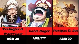 One Piece Characters Age Comparison from Youngest to Oldest