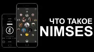 Что такое Nimses? Как заработать нимы?