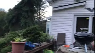 Tiny Gap hunting with VAS Gremlin.