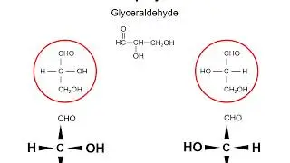 Carbohydrates 1 - monosaccharide structure