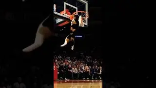 Epic Slam Dunk by a Cat! 🐾💥#cat#basketball #games#nba