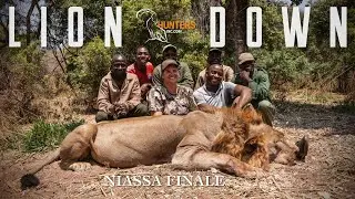 LION DOWN &mdash; Невероятная охота на львов в Мозамбике | Ниасса, часть 3 (финал)