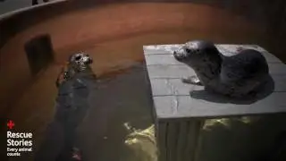 Rescue Stories - Every animal counts