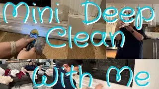 Mini Deep Clean With Me | Speed Deep Clean
