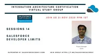 Salesforce Developer Limit