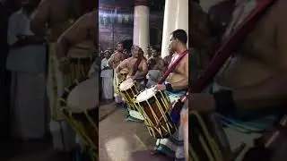തൃപ്രയാർ ഏകാദശി നിറമാല 2022 -  തായമ്പക - നാലിരട്ടി - മട്ടന്നൂർ ശ്രീരാജ് & ചിറയ്ക്കൽ നിധീഷ്