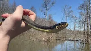 Finding Snakes on the Wolf River!