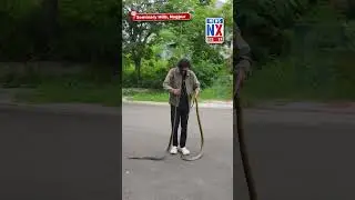 Seminary Hills, Nagpur - GSI ऑफिस में घुसे दो विशाल साँप , शुभम जी.आर ने किया Rescue !