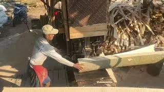 Gergaji kayu jengjing (Albasia)