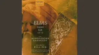 Aria: Sei stille dem Herrn und warte auf ihn (Alto)