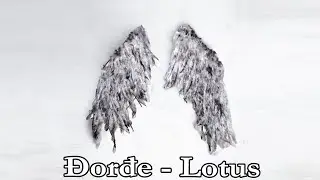 Djordje - Lotus Lyrics