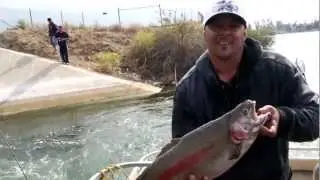 EPIC Trout Fishing! 3 Trout, 30 LBS! MUST SEE TO BELIEVE