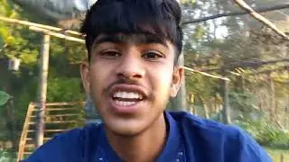 Pat House মিষ্টি লাউ গাছে ইঁদুরের আক্রমণ। 🐀🐀সবজি বাগানের রিভিউ। 🌳❤️pat House 