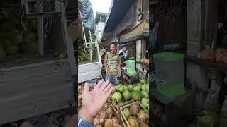 Sorting coconut fresh vs old