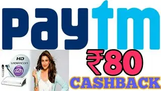 HOW TO PAY YOUR DTH || PAYTM DTH RECHARGE OFFER|| ₹80 CASHBACK