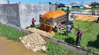 Starting a New Project Filling Flooded Pond Mini Bulldozer Pushing Soil, stone into water & 5T truck