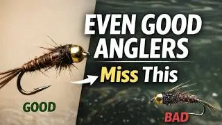 Top 11 Pheasant Tail Mistakes Even Experienced Anglers Make