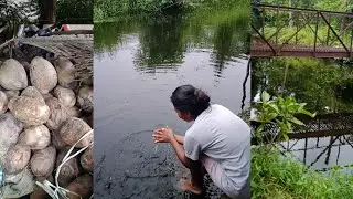 😳 എന്റെ ഭഗവാനെ എന്താ ഈ കാണണേ.. #longvideo #ammaveedu #nature 