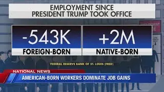 American-born workers dominate job gains