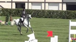 Durrango Spruce Meadows Continental 1.15m