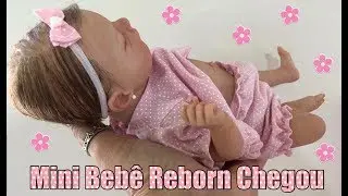 CHEGADA DA MINHA MINI BEB&Ecirc; REBORN   #reborn