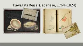'Рыба и Раковины' Kuwagata Keisai (1764&ndash;1824)