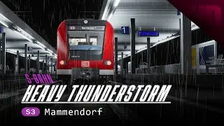 Relaxing Gameplay | TRAIN SIM WORLD 3