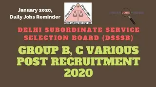 Hindi | Delhi DSSSB Group B, C Various Post Recruitment 2020 |