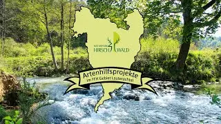 Artenhilfsprojekte im FFH-Gebiet Lauterachtal - Naturpark Hirschwald