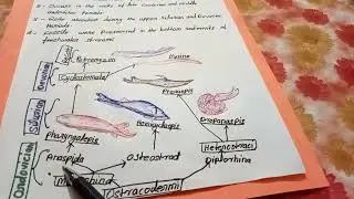ye video Ostracoderms pe hai