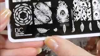 Review of UberChic Beauty Fabulous Feathers and Nautical mini plates