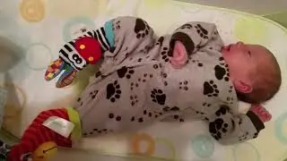 Cartoon Baby Toys 0-12 Months Soft Animal Baby Rattles