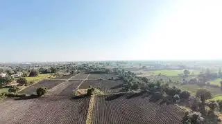 Dji O4 pro air unit jello effact raw video no edit no sound 