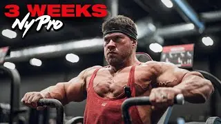 HOW TO BUILD YOUR LOWER CHEST | 3 WEEKS OUT NEW YORK PRO