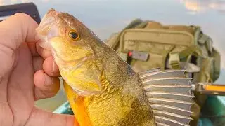 Finding fish in difficult conditions! 