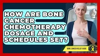 How Are Bone Cancer Chemotherapy Dosage And Schedules Set? - Bone Cancer Relief Guide