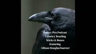 S8E45 A Poetry Reading with Canadian Poet Allison Douglas Tourner