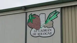 VID&Eacute;O. Le petit Rungis de la fraise en pleine activit&eacute; a Fontaine-en-Sologne