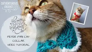 Happy Holidays Peter Pan Cat Collar - Catventurous Crochet