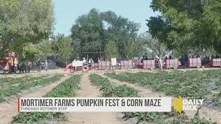 Mortimer Farms Pumpkin Fest & Corn Maze