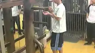 Wing Chun Wooden Dummy free hands. Squall. 27Apr12'.