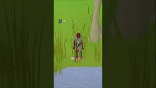 Top 3 AFK Fishing Spots in OSRS