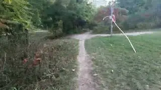 Trail Runner
