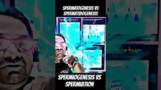 ♂️ Spermatogenesis  Spermatidogenesis Spermiogenesis Spermiation Difference 🔥 NEET Exam Biology ❤️