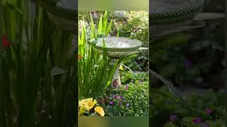Small Space Garden Design Ideas | Kam Jagah Mein Bada Look