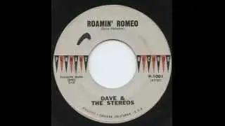 Roamin Romeo  - Dave & Stereos
